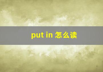 put in 怎么读